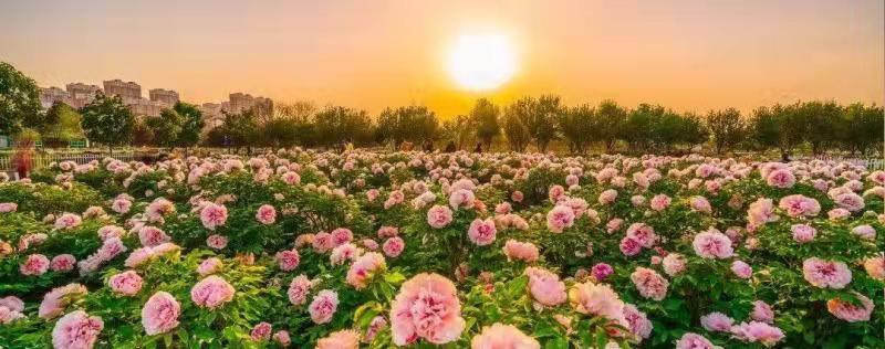 1645781003123223.jpg 微信圖片_20220225172152.jpg